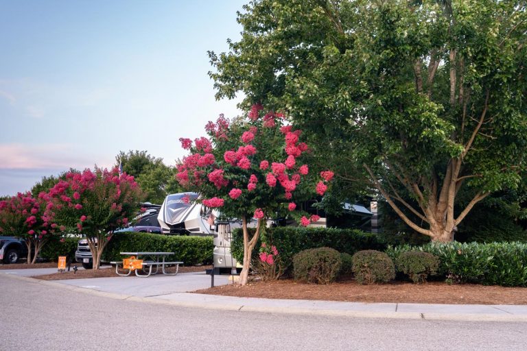 Two Rivers Landing RV Park in Sevierville